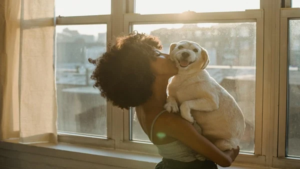 Dancing with Angels: The Sacred Journey of Pet Care in America